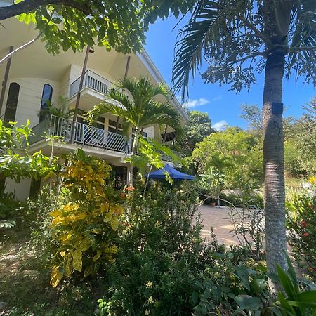 Villa Pura Vida Matapalo  Buitenkant foto