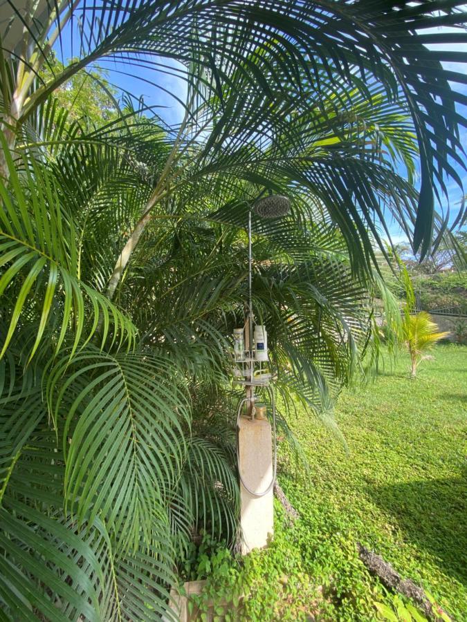 Villa Pura Vida Matapalo  Buitenkant foto