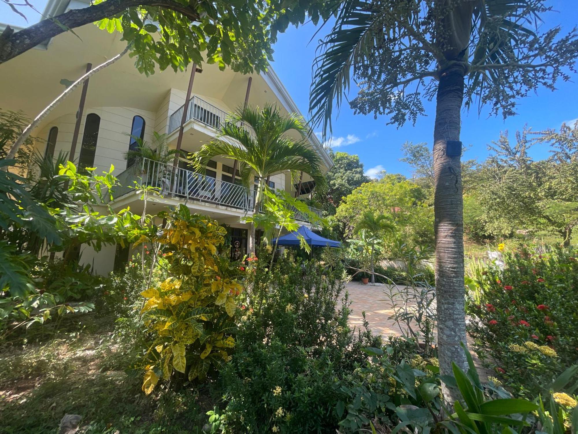 Villa Pura Vida Matapalo  Buitenkant foto