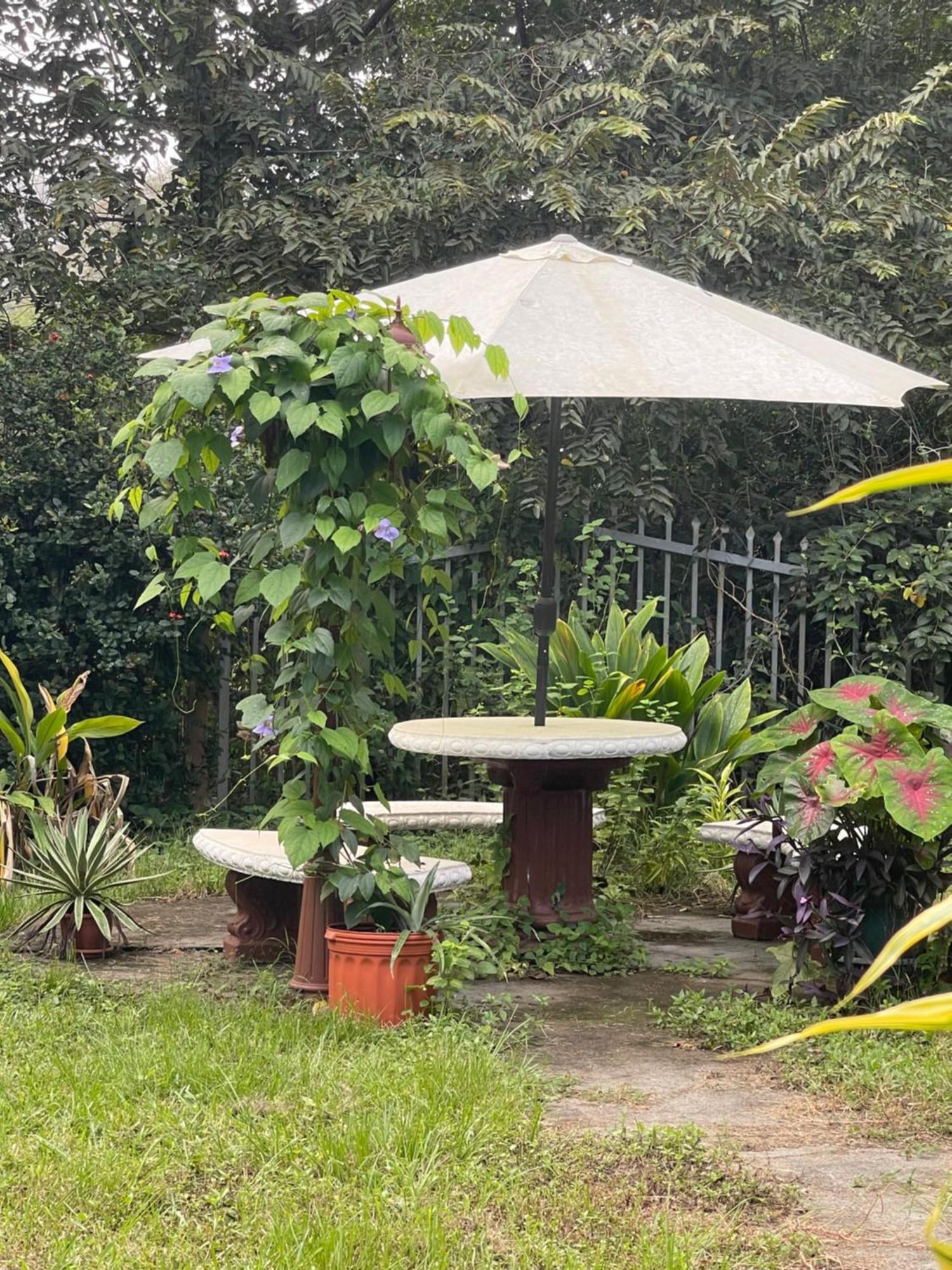 Villa Pura Vida Matapalo  Buitenkant foto